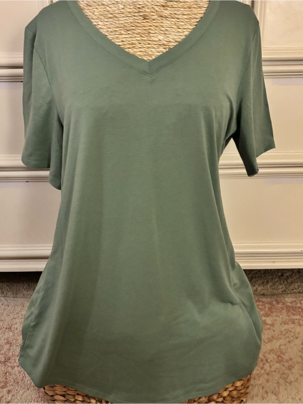 NWOT LuLaRoe V-Neck Short Sleeve Top in Sage Green